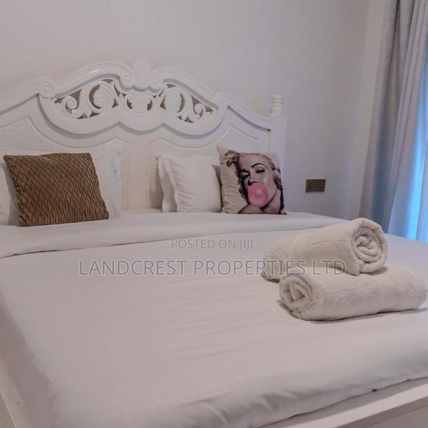 Furnished 1bdrm Apartment in Hurlingham for rent - thumbnail 5