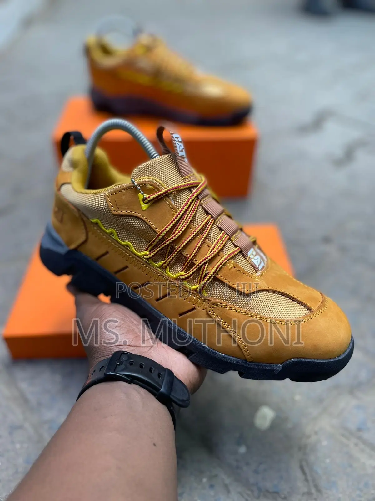 Cat Crail Sports Shoes   Sizes 39-44