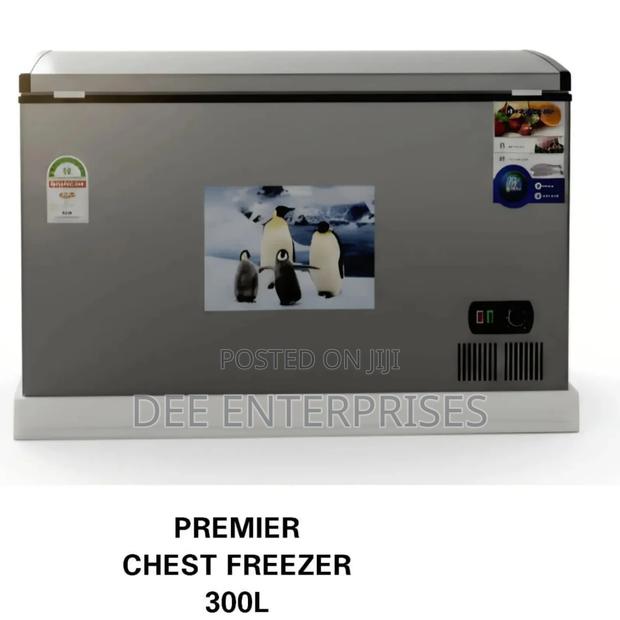 300l Premier Chest Freezer