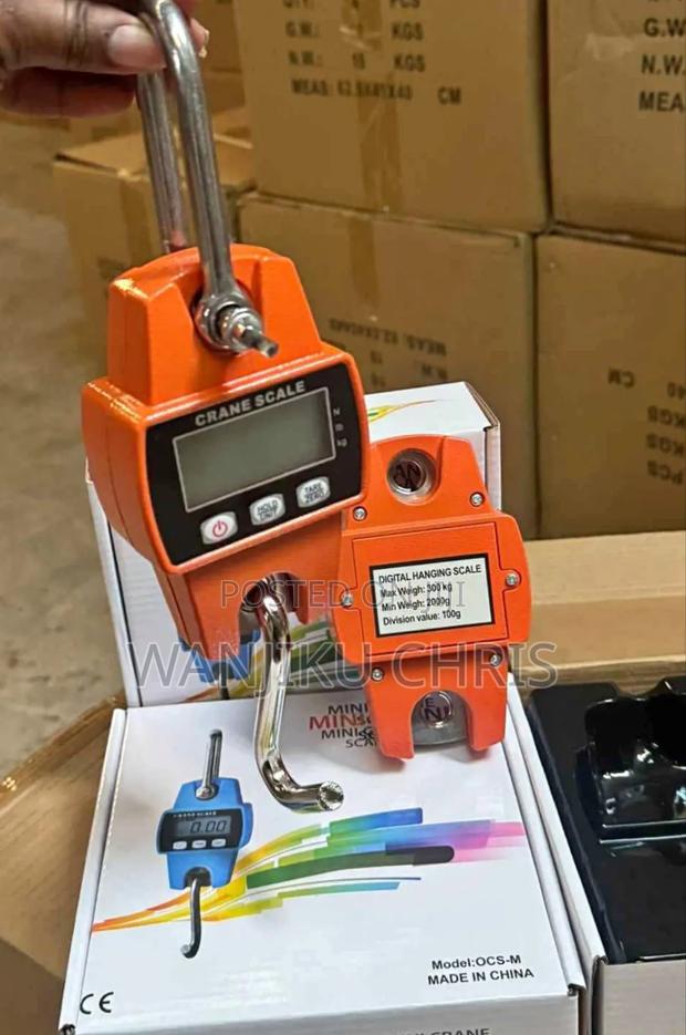 Digital Hanging Scale 300kgs/Crane Scale - main view