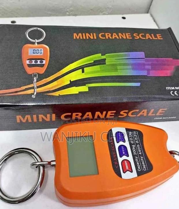 Affordable Crane Scale/200kgs Crane Scale - main view