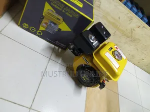 Affordable Gasoline Engine