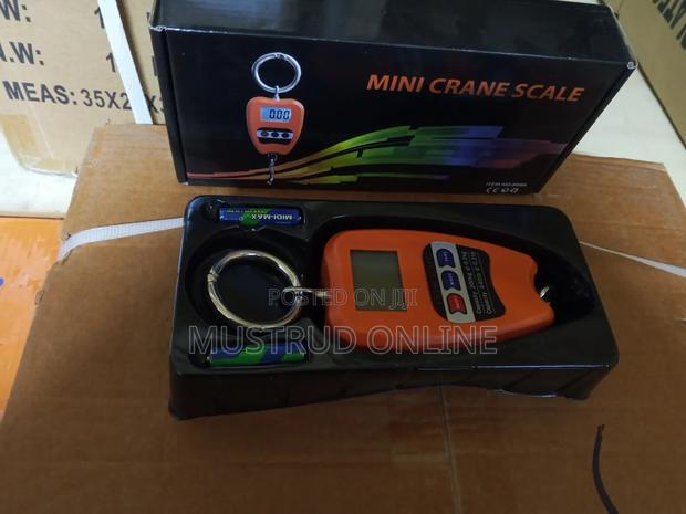 Mini Crane Scale 200kg - main view