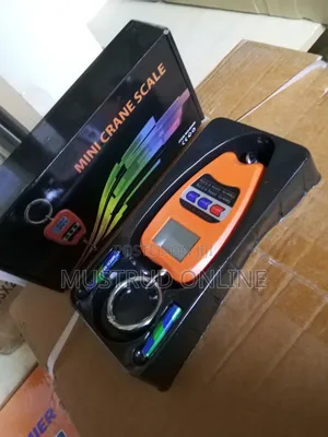 Mini Crane Scale 200kg