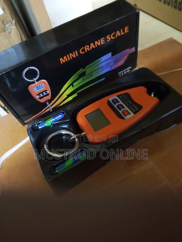 Quality Mini Crane Scale - main view