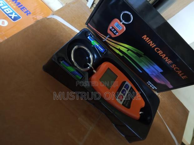 Accurate 200kgmini Crane Scale - main view