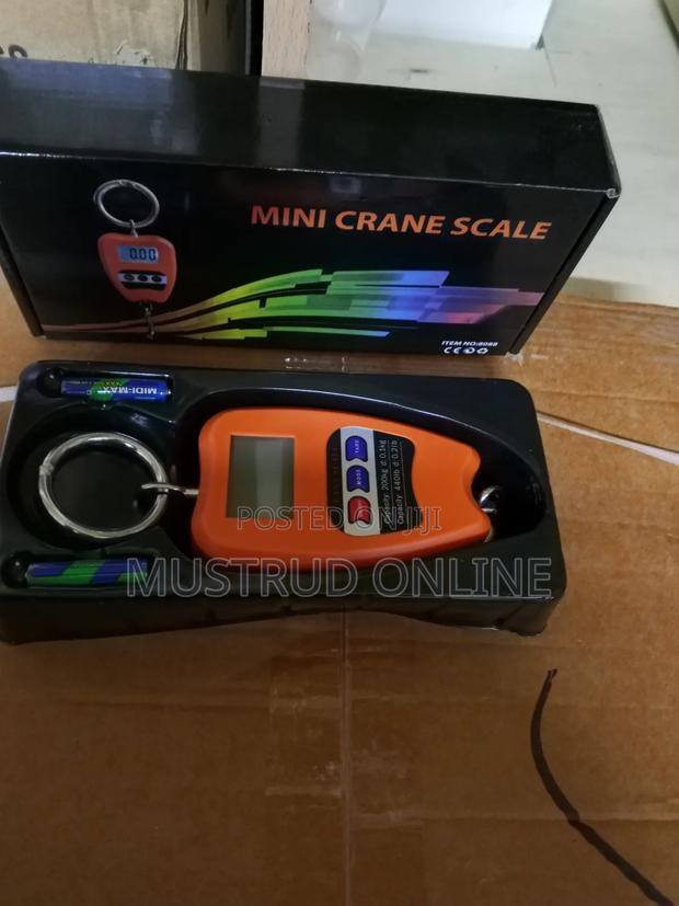 Fital Mini Crane Scale - main view