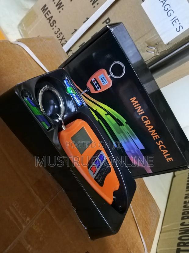 Mini Heavy Duty Crane Scale 200kg - main view