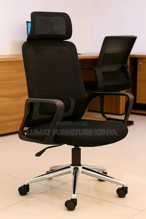 Director’S Mesh Chair