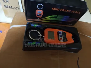 Portable 200kgmini Crane Scale