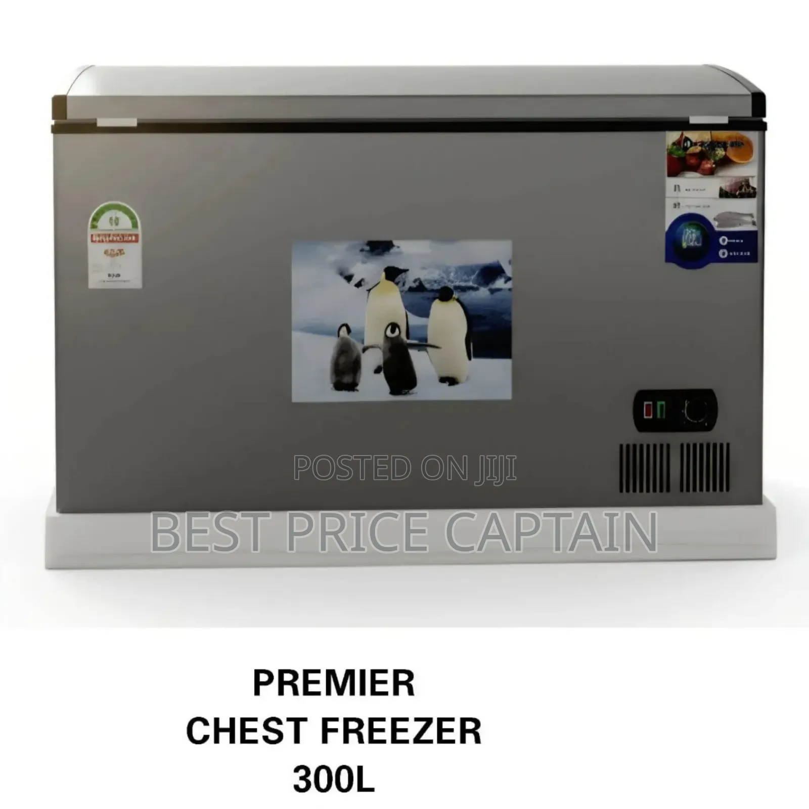 Chest Freezer 300l Premier