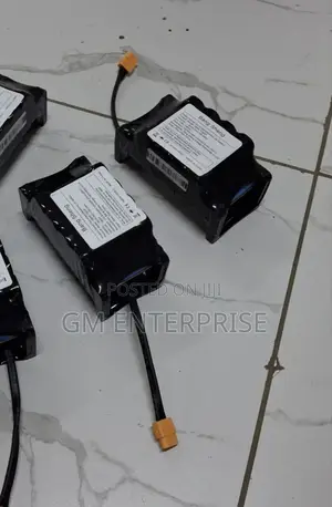36v/4.4ah Hoverboard Battery With Fitting Cables