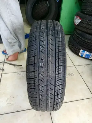 185/65r14 Petromax PTS 008 Tyres | Premium Road Grip