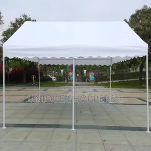 3*6 Meters Canopy Tent/Gazebo Tent With Windows