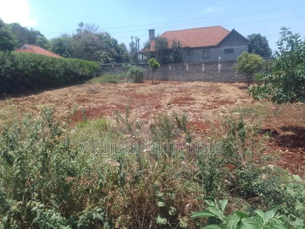 Runda Panafrick Road - main view