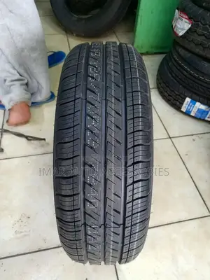 205/55r16 Petromax PTS 008 Tyres | High Performance