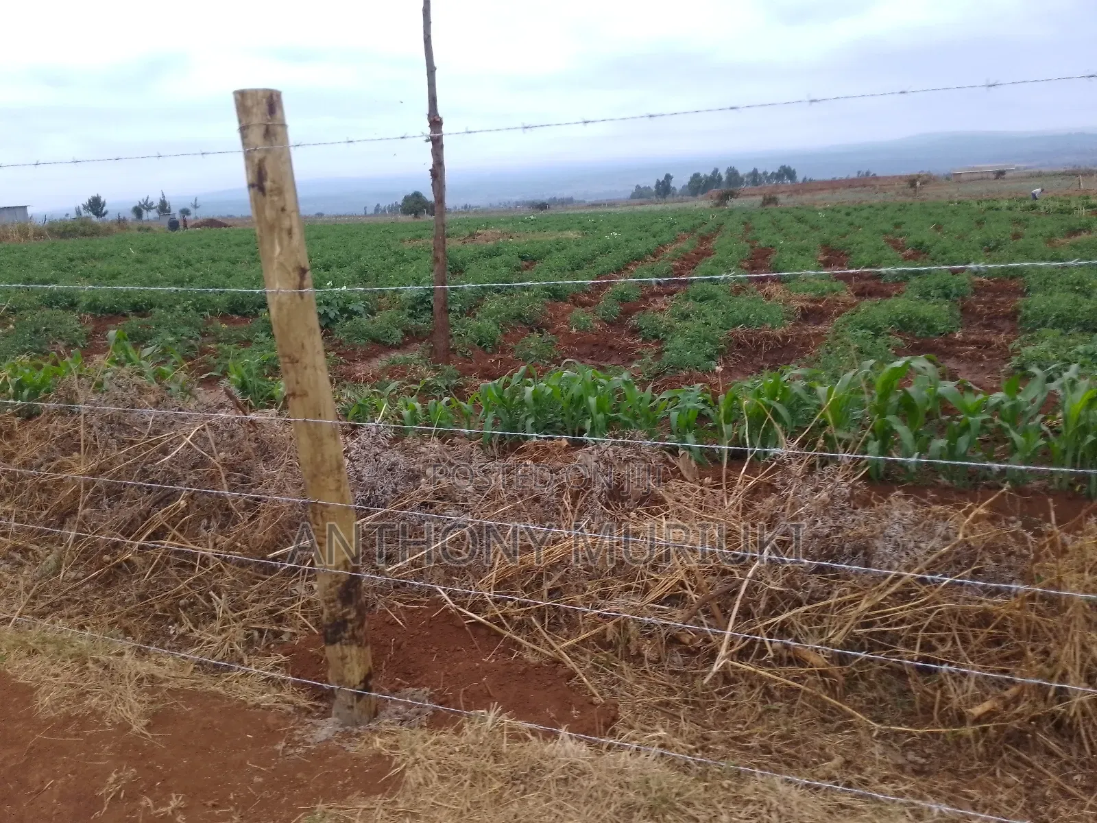 Agricultural Land for Sale