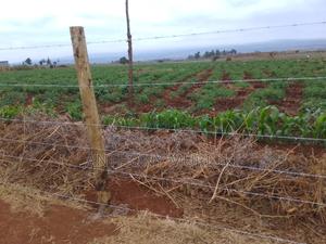 Agricultural Land for Sale - thumbnail 2