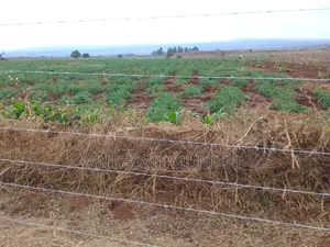 Agricultural Land for Sale