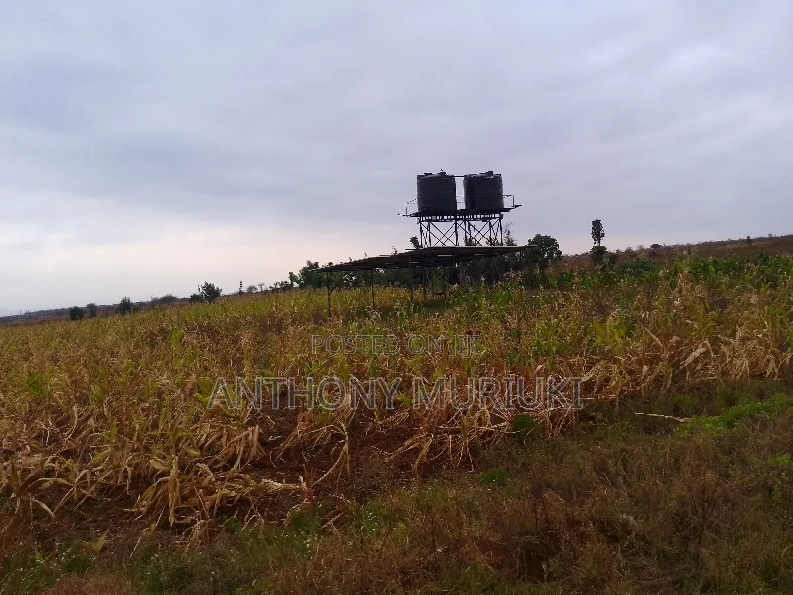 Agricultural Land for Sale