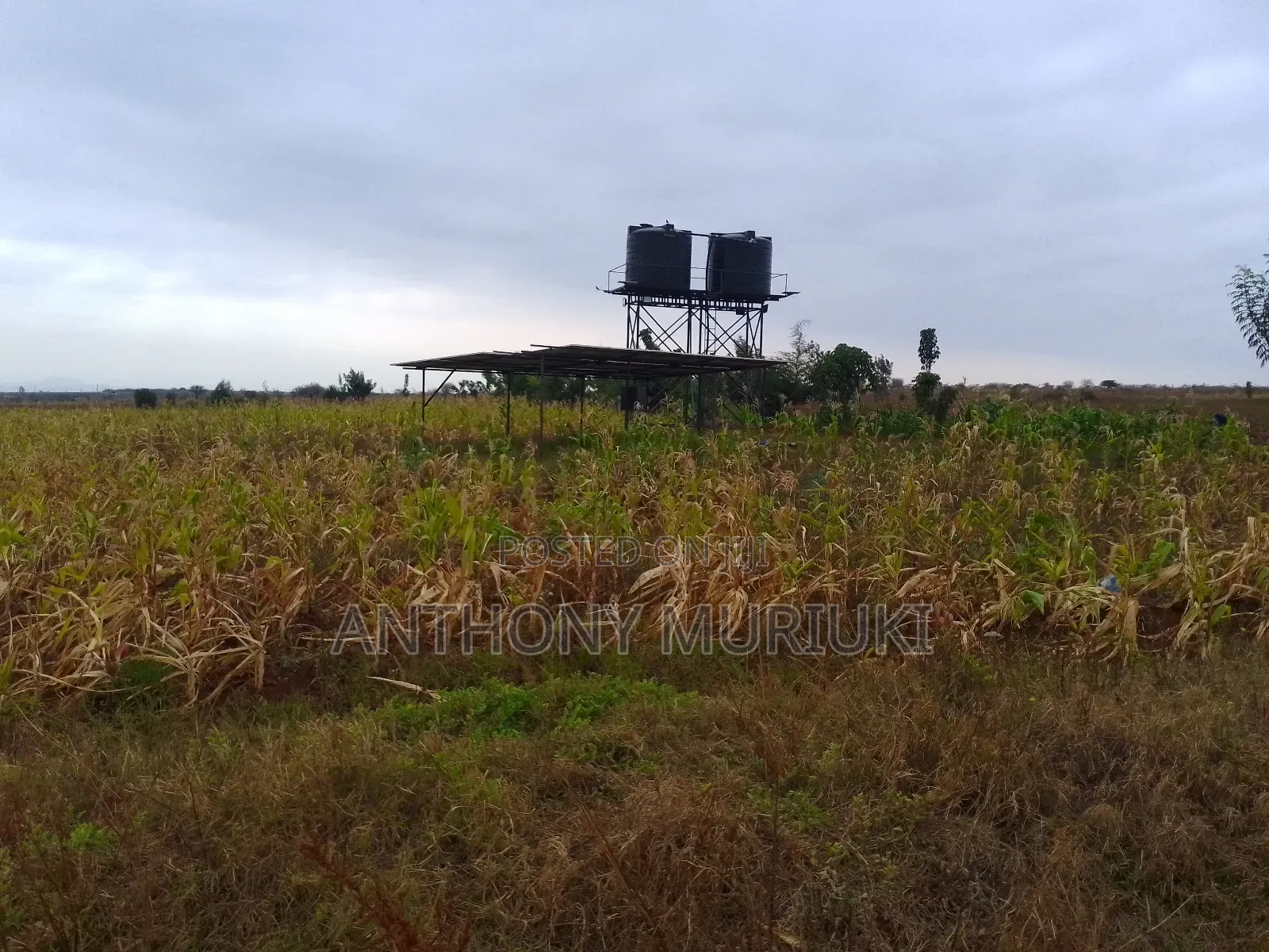 Agricultural Land for Sale