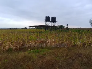Agricultural Land for Sale