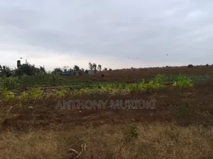 Agricultural Land for Sale