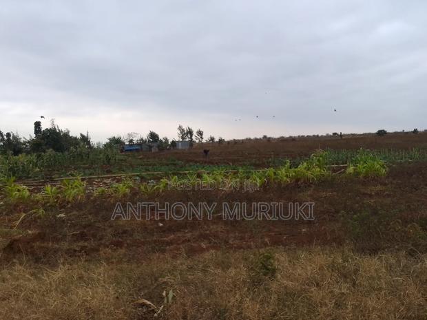 Agricultural Land for Sale - thumbnail 6