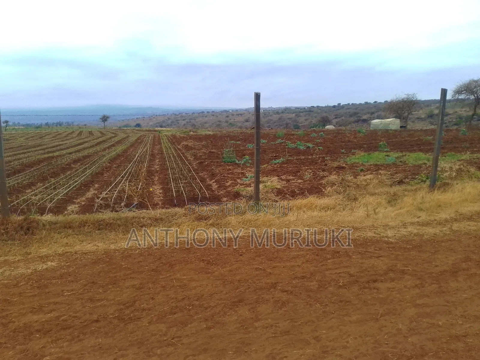 Agricultural Land for Sale