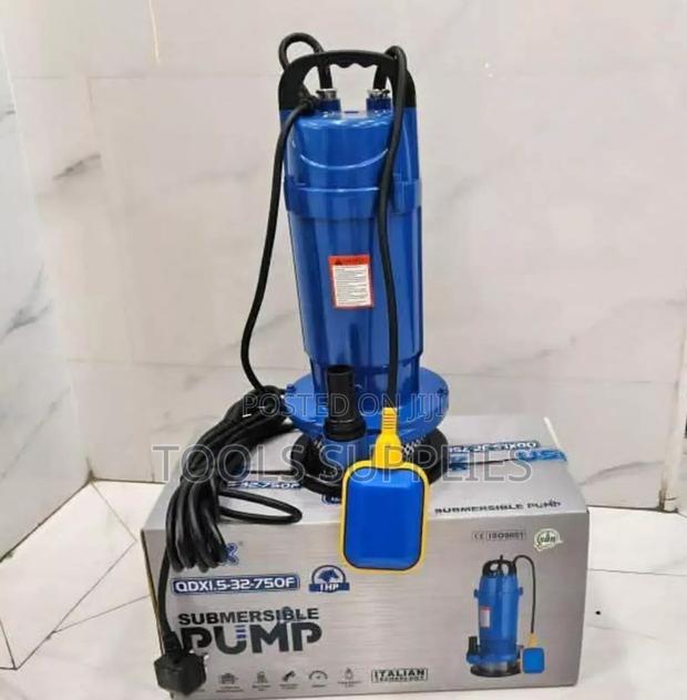 Usk 1 Hp Submersible Pump/Shallow Well Pump - main view