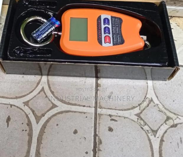 Crane Weighing Scale 200kgs - main view