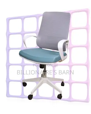 Home Office Ergonomic Office Comfort White | Best Deal Online
