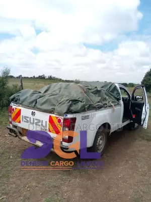 Light Cargo Transport Services.Pickup, Cargo Van and Mini-Trucks