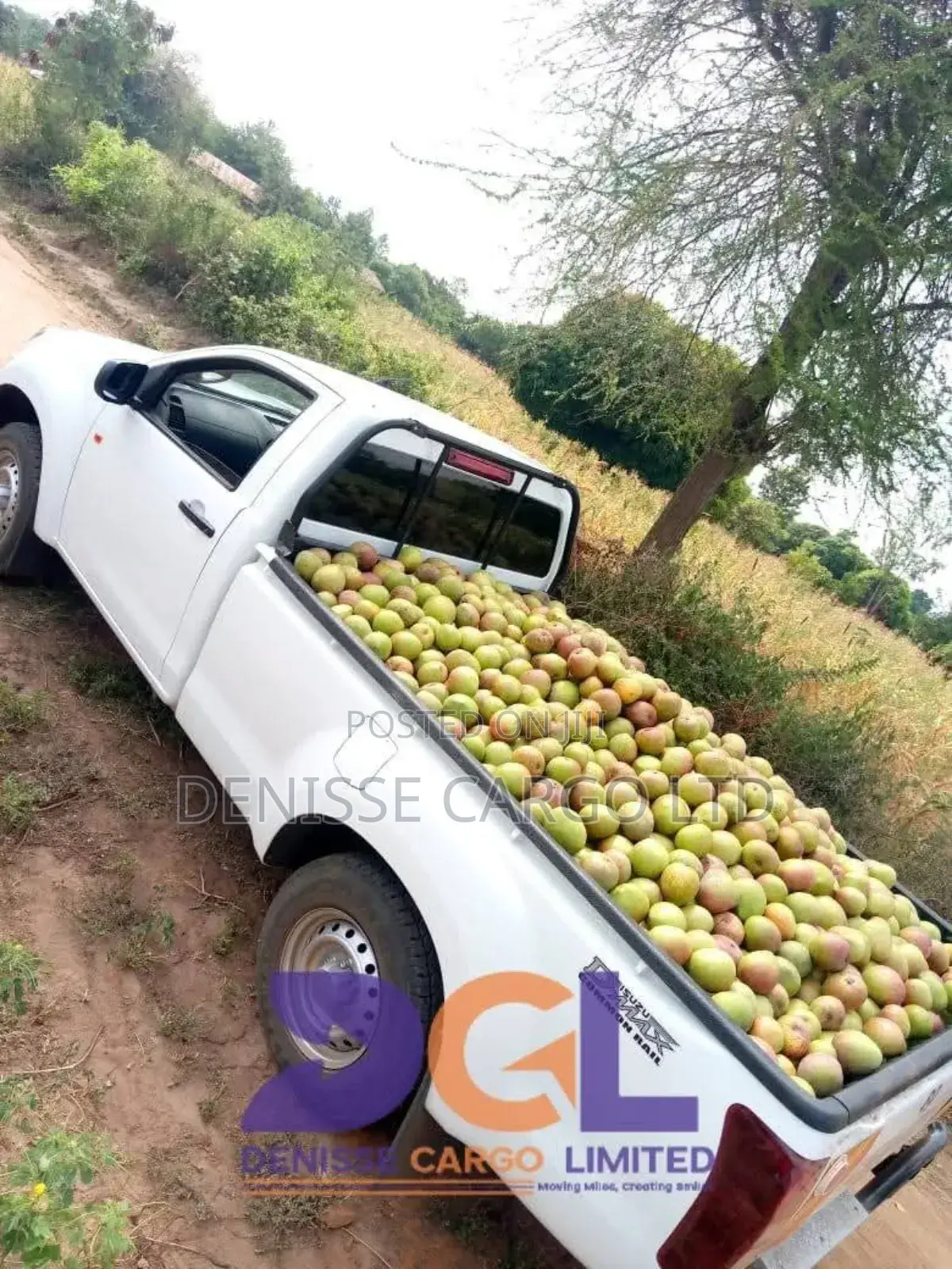 Light Cargo Transport Services.Pickup, Cargo Van and Mini-Trucks