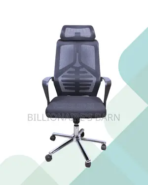 Pro Back Best-Seller | Chair | Same-Day Delivery Available