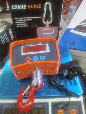 Crane Scale 500kgs - main view