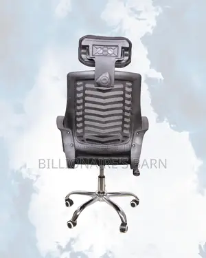 Premium Mesh Support Executive | Comfort Meets Style