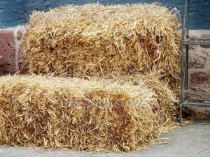 Hay for Sell
