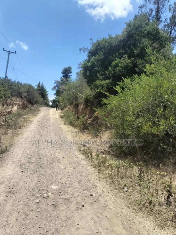 7.5 Acres in Nanyuki [ Airstrip Area ] - thumbnail 2