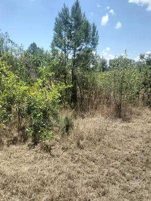 7.5 Acres in Nanyuki [ Airstrip Area ]