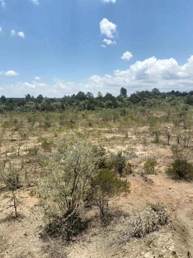 7.5 Acres in Nanyuki [ Airstrip Area ] - thumbnail 4