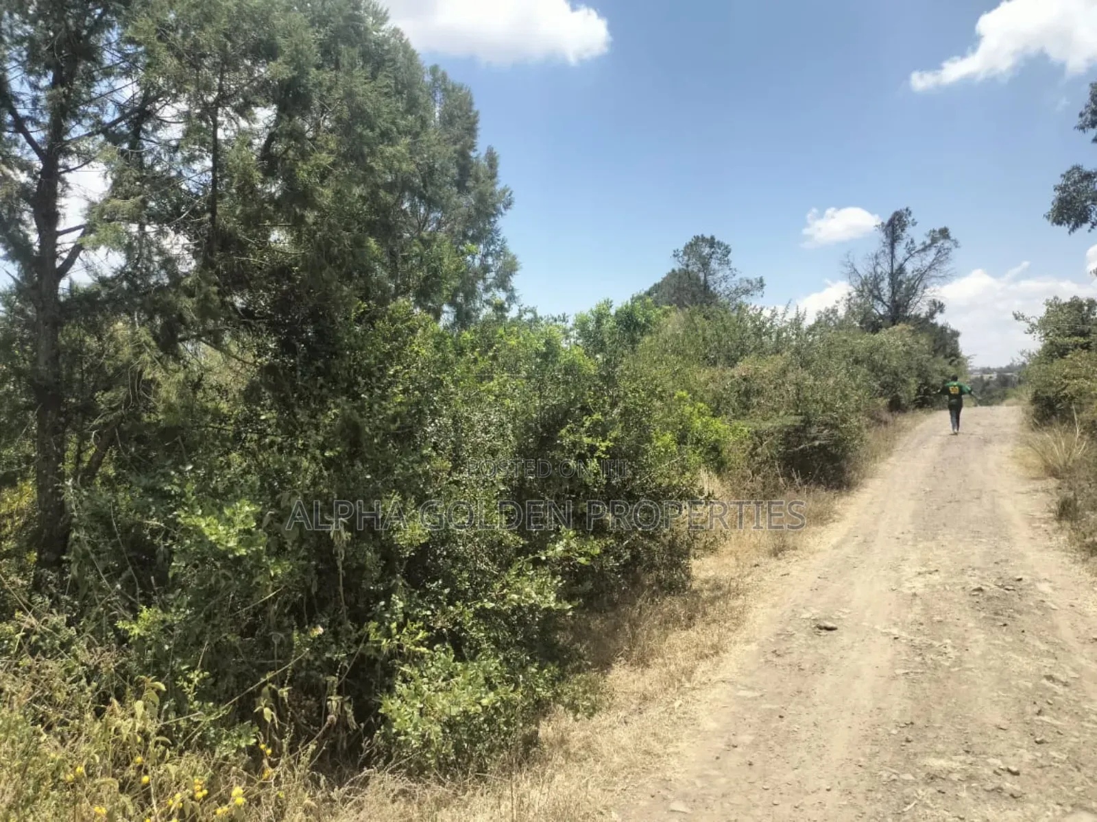 7.5 Acres in Nanyuki [ Airstrip Area ]