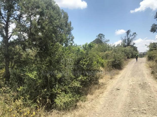 7.5 Acres in Nanyuki [ Airstrip Area ] - thumbnail 5