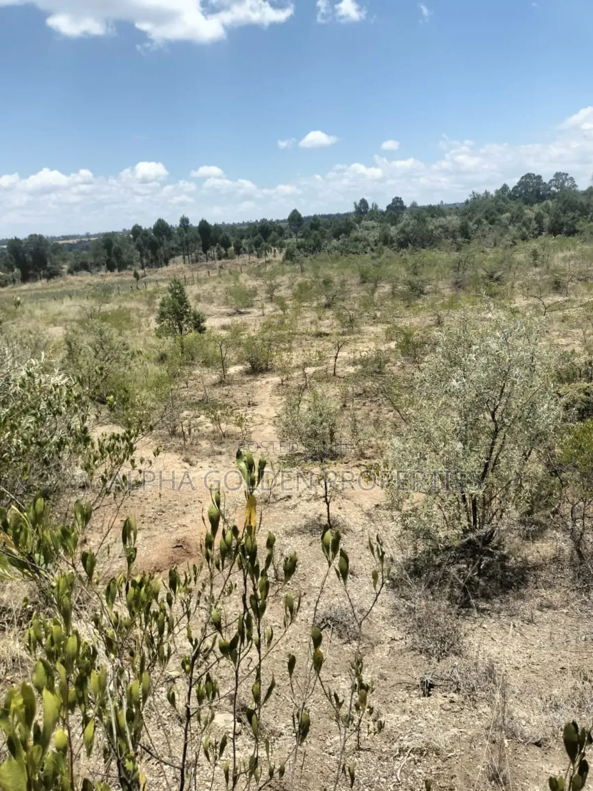 7.5 Acres in Nanyuki [ Airstrip Area ]