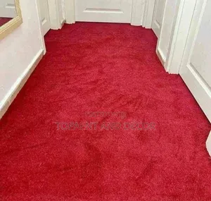 Beautiful Wall to Wall Carpet for Office Entrance Corridor