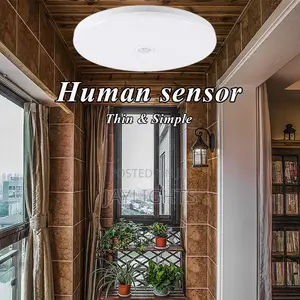 Round Moon Ceiling Pir Motion Sensor Lamp