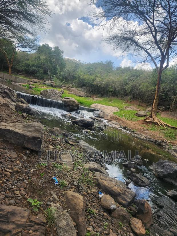 3⁄4 Acre Gem Fronting River and Nairobi National Park - thumbnail 3