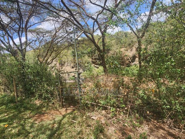 3⁄4 Acre Gem Fronting River and Nairobi National Park - thumbnail 4