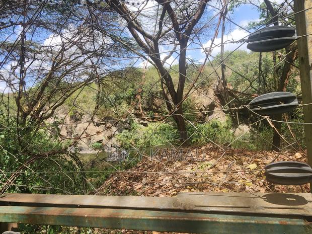 3⁄4 Acre Gem Fronting River and Nairobi National Park - thumbnail 5