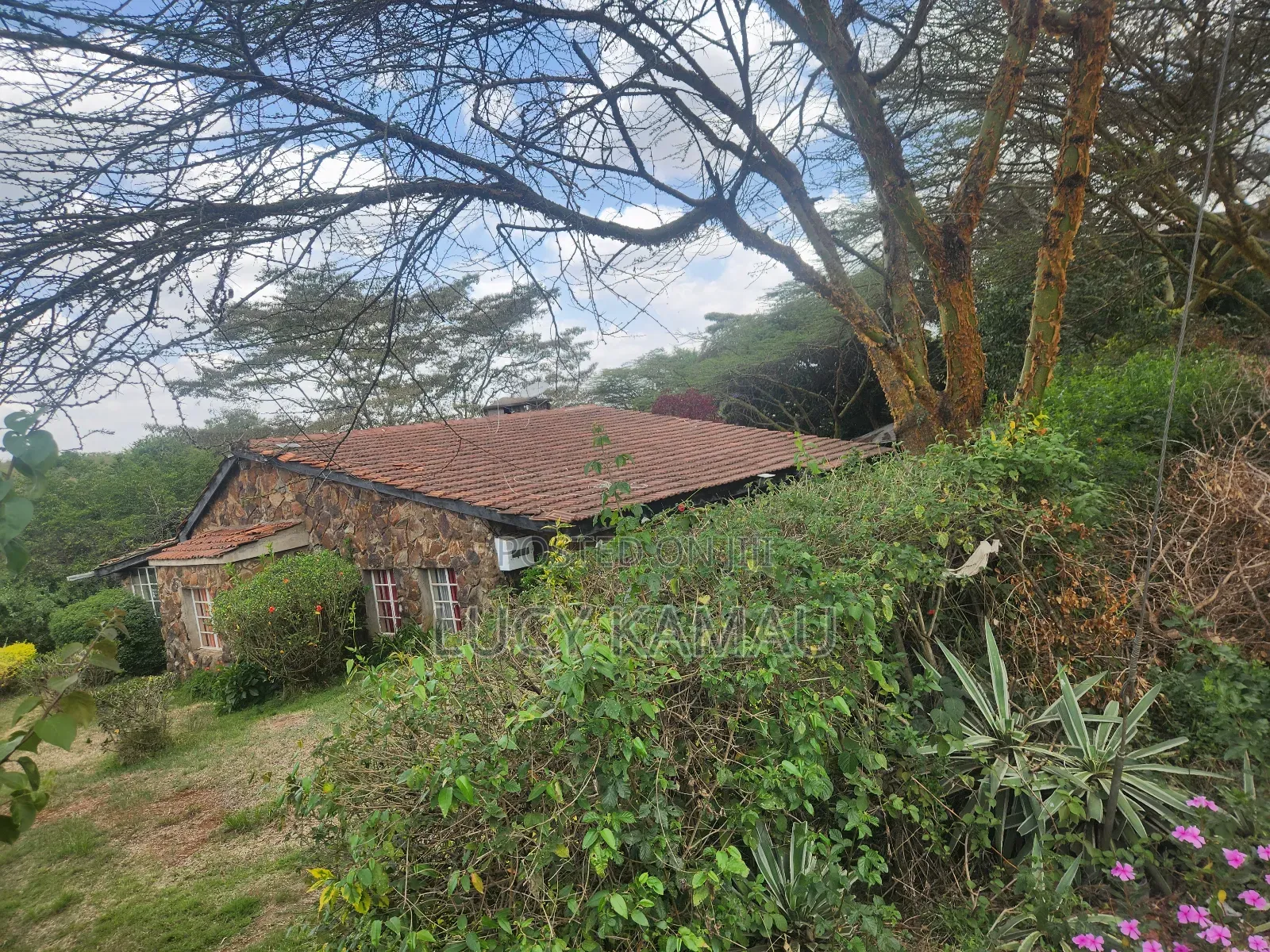 3⁄4 Acre Gem Fronting River and Nairobi National Park
